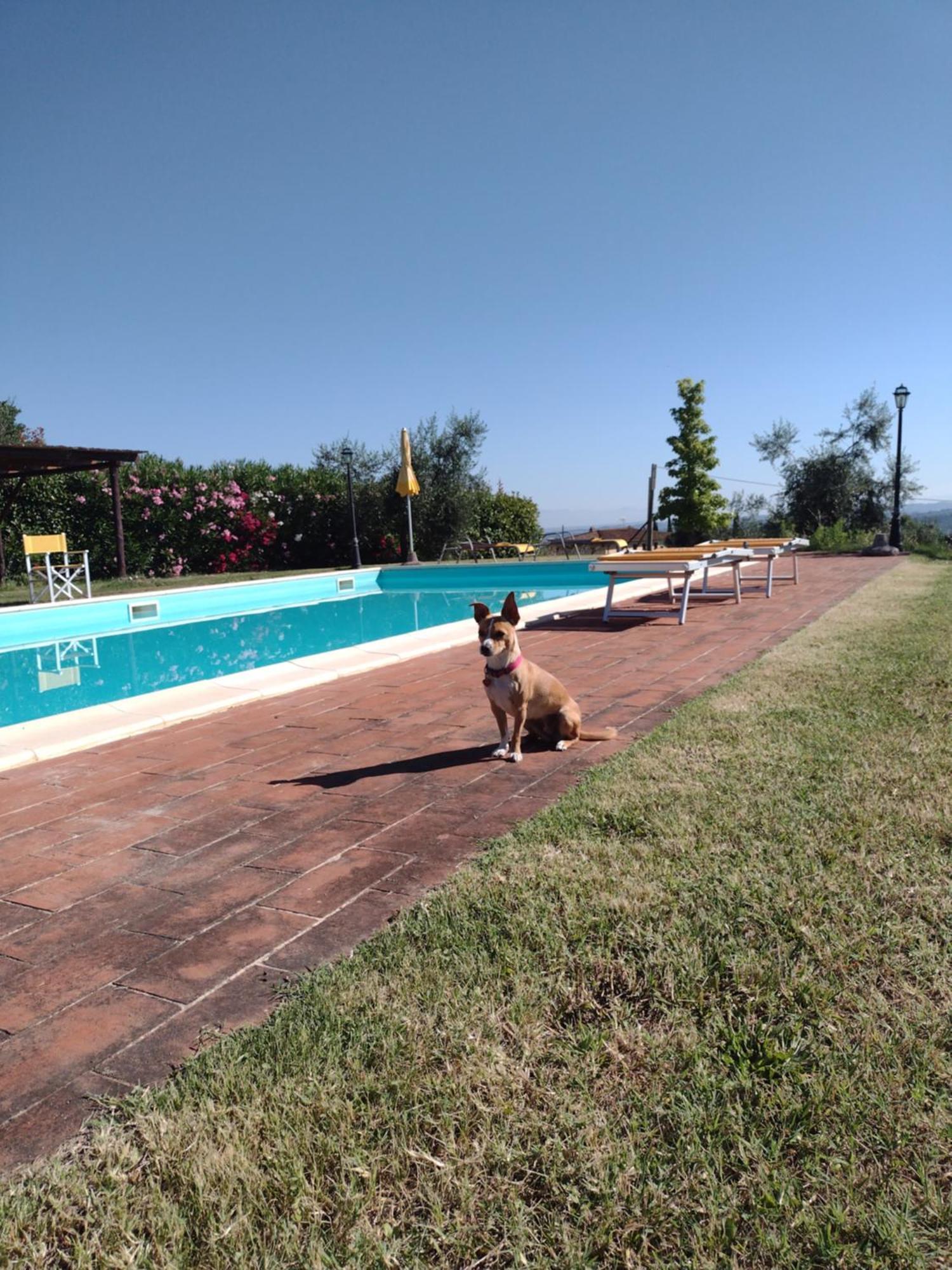 Le Pergoline B&B Casciana Terme Exterior foto