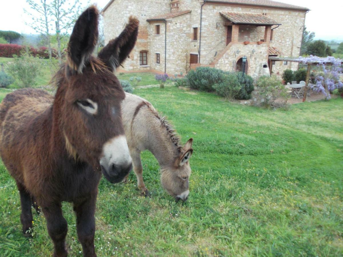 Le Pergoline B&B Casciana Terme Exterior foto